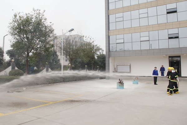 1604037054270075.jpeg 25.jpg