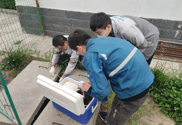 1618366025839969.jpeg 66.jpg