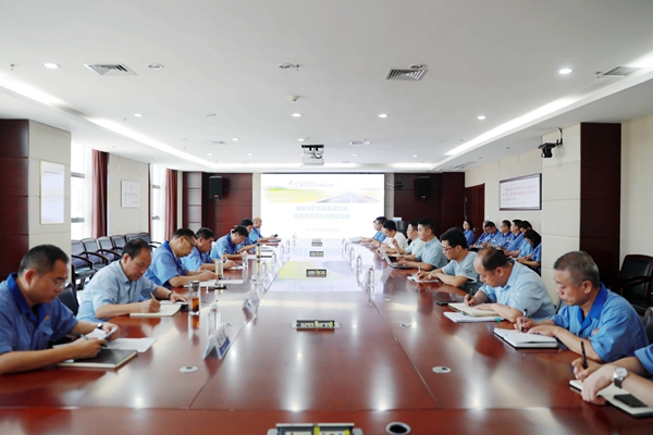 1625817813203493.jpeg 55.jpg