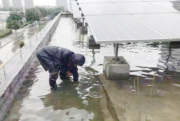 1629710561220258.jpeg 222.jpg