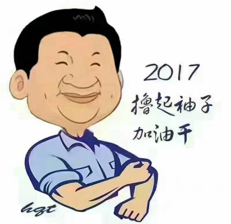2017年，“大家擼起袖子加油干”！