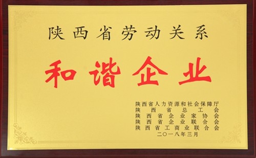 公司喜獲陜西省勞動(dòng)關(guān)系和諧企業(yè)榮譽(yù)稱號(hào)