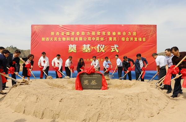 陜煤集團榆林合力產業(yè)扶貧開發(fā)公司中藥材深加工項目落地